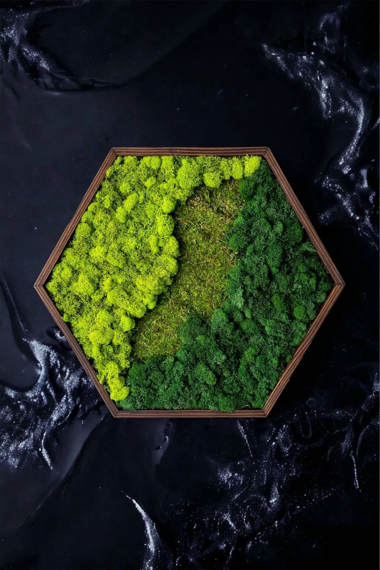 Framed Hexagon Moss Wall Art